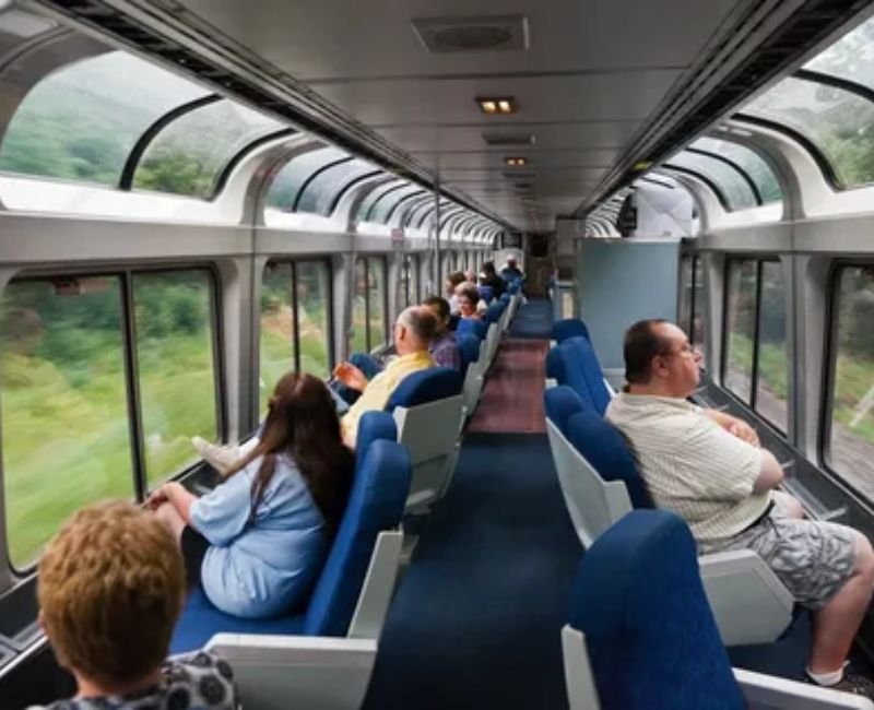 Passengers enjoying scenic countryside views inside a glass-domed rail observation lounge.