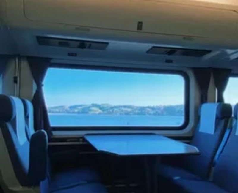 Passenger enjoying scenic view from window seat while travelling in train.