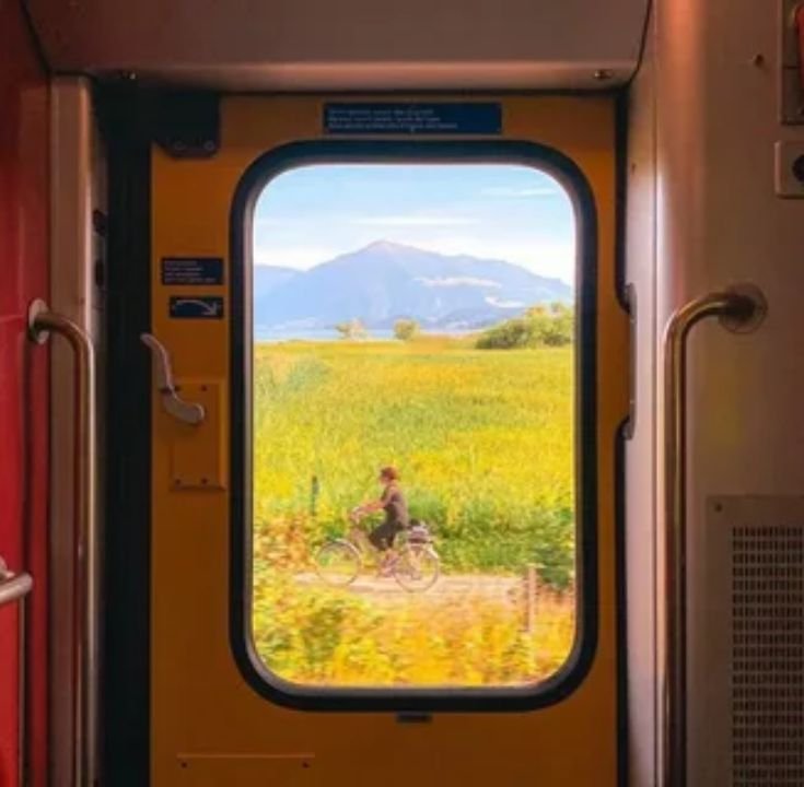 Scenic view of railway tracks curving through a lush green forest