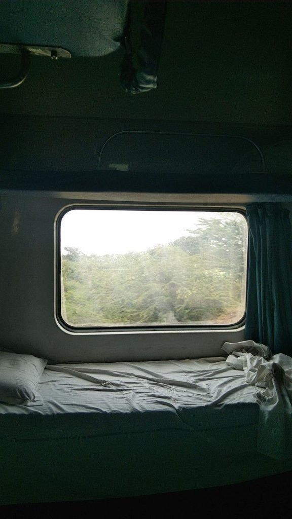 Passenger looking out the window of a scenic train enjoying the countryside view.