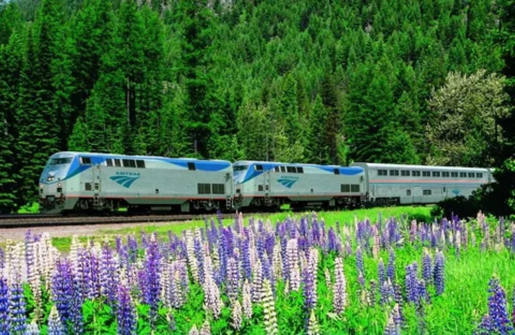 Amtrak long-distance train traveling through scenic mountain routes in the USA