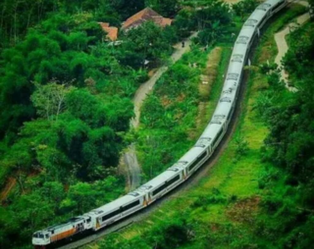 Scenic Amtrak passenger train traveling through lush green mountains in USA