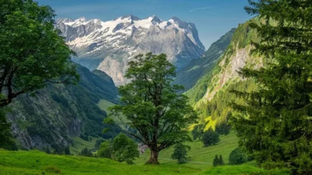A scenic panorama of a Swiss mountain train crossing a high viaduct over a valley in the Alps, with snowy peaks in the background.
