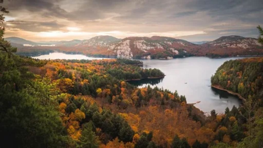 Scenic view of Northern Ontario forests and lakes from a train window